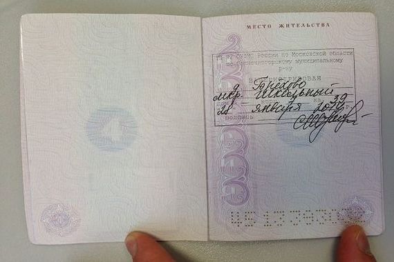 прописка в Александровске
